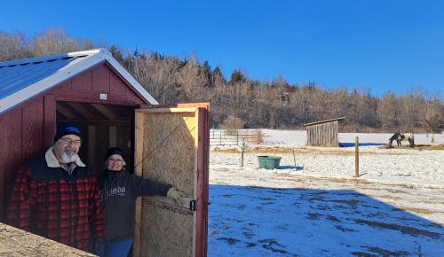 small red cottage shed with horses